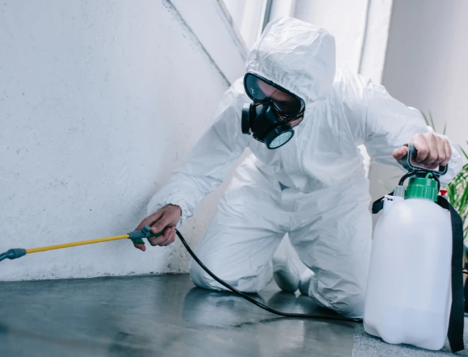 Eco-friendly pest control products